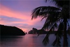 Watch the Sunset in Phi Phi
